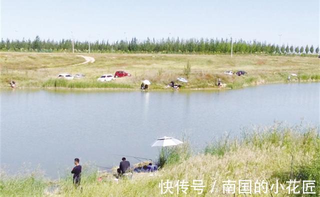 秋季|秋天钓鲤鱼,一要凉二要坡、三要等四要稳,没有钓不到鲤鱼的道理