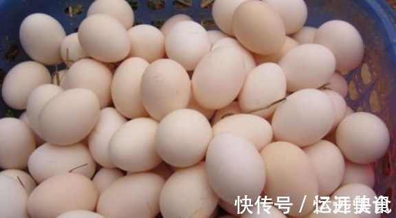 鸡蛋别放冰箱冷藏,学会3个土方法,轻松保存半年,像刚买的一样