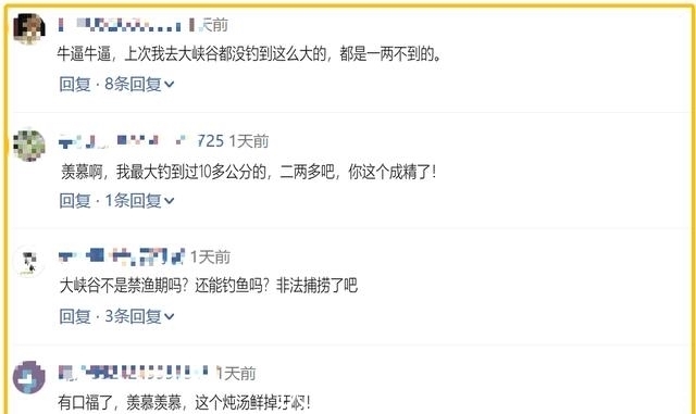 温州炉西大峡谷现“巨型溪石斑”,将近一斤重,已突破体型极限