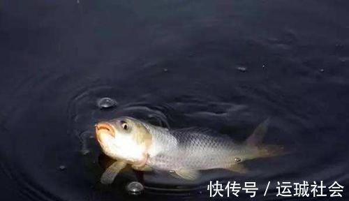 钓鱼|钓具选择“坑”很多,这些华而不实的钓具,多数没啥用!
