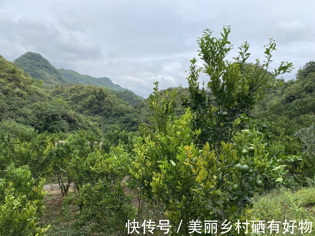 开阳鑫禾农养殖场