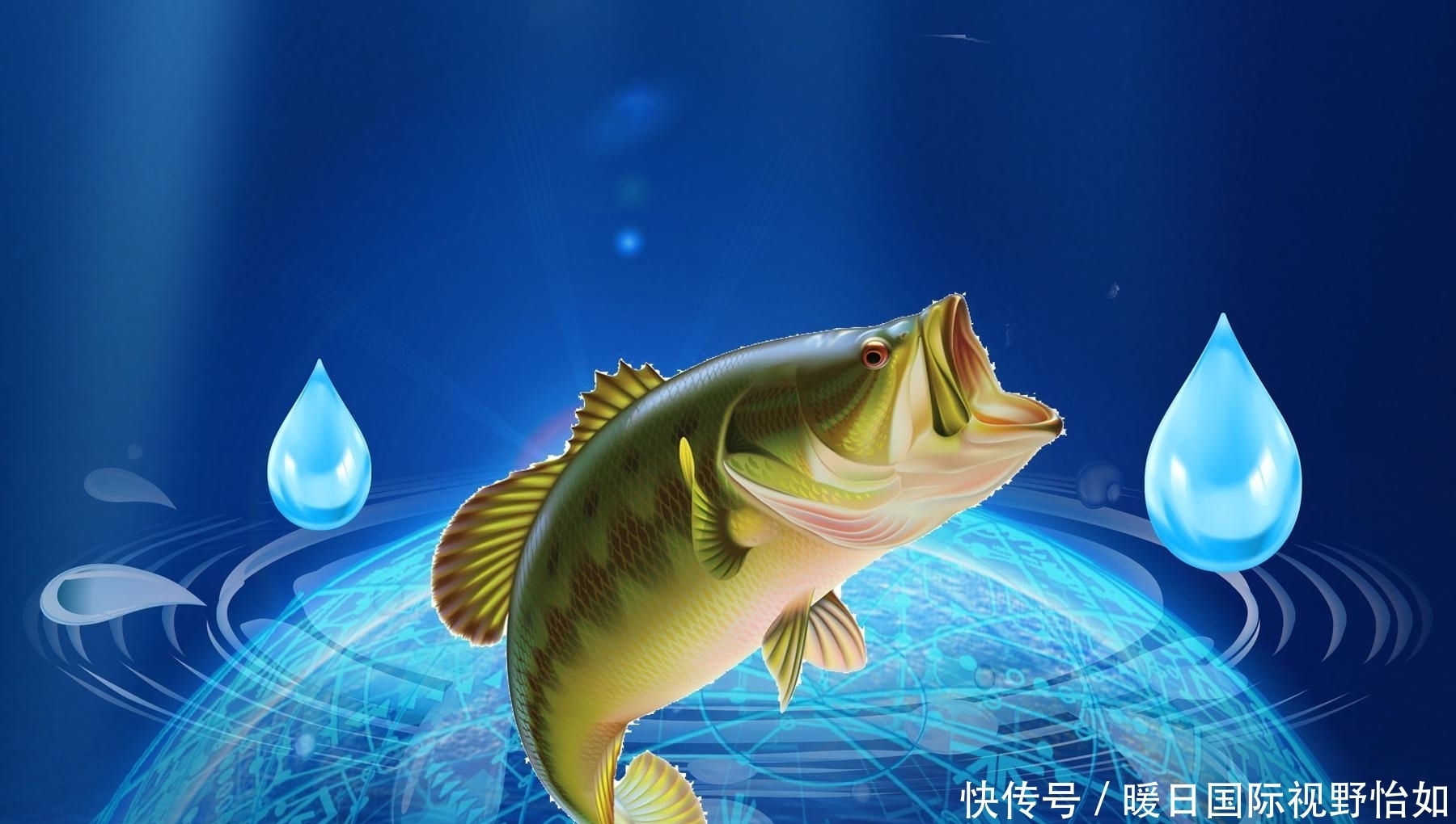 鱼线|如何钓回锅鲤鱼?钓回锅鲤鱼用什么饵料?钓回锅鲤鱼的技巧和方法