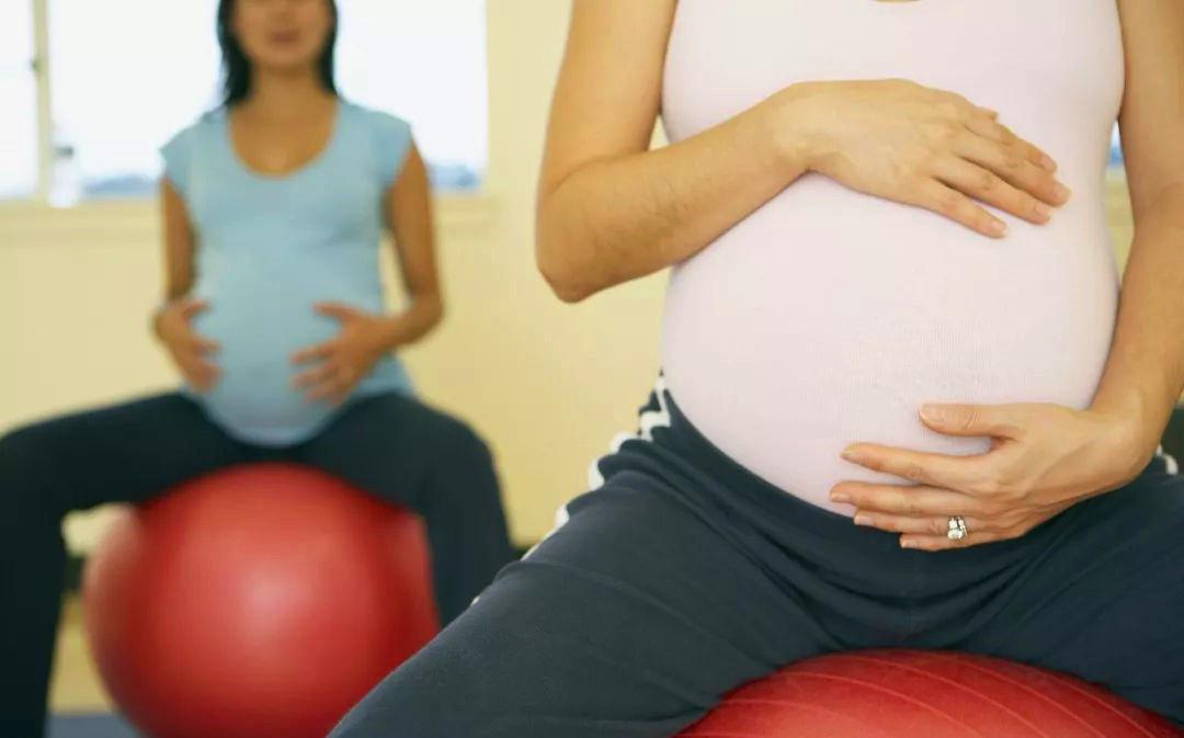 直立人|为什么动物分娩后代那么轻松,人类生孩子却疼得撕心裂肺?