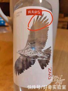 柯子朔|杭州小学生发现农夫山泉瓶身上有错误？！这只鸟到底是什么鸟？