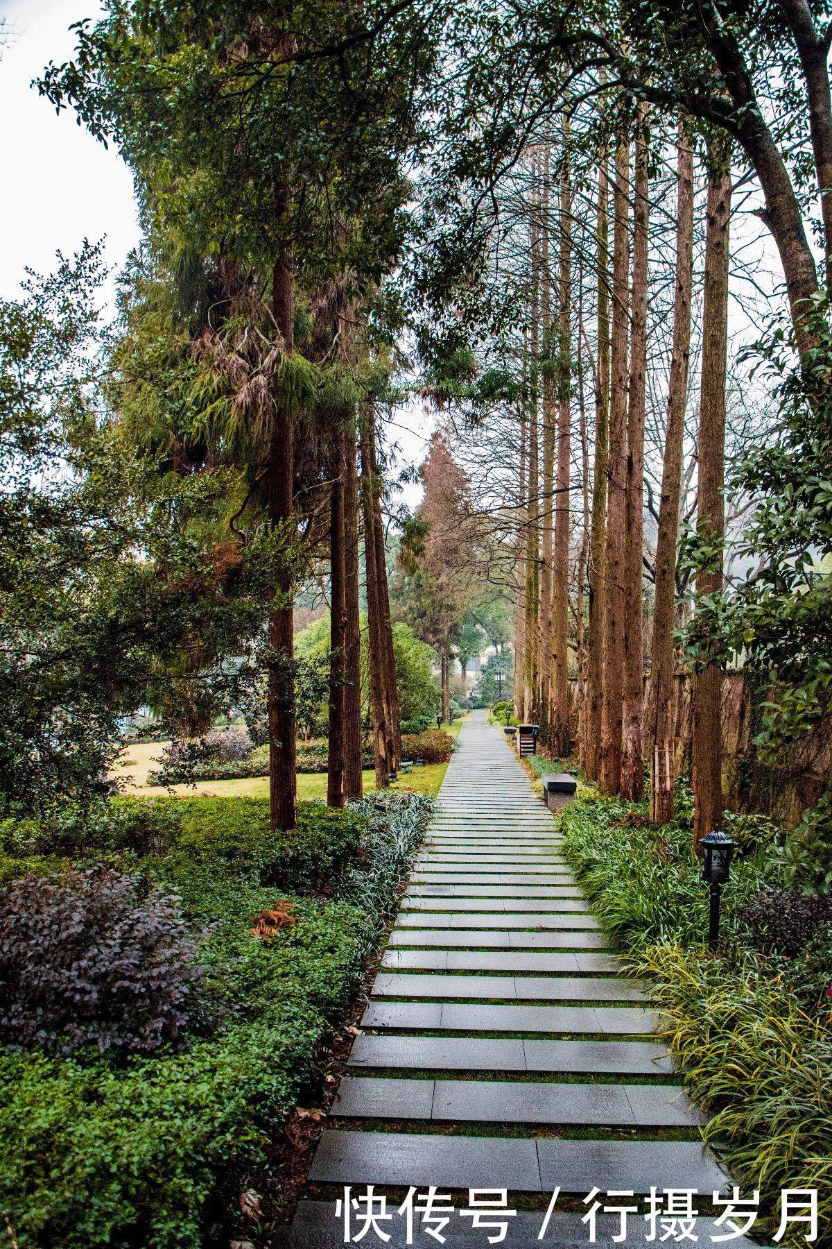 嗅出|冬至将至,谁已嗅出春天的味道