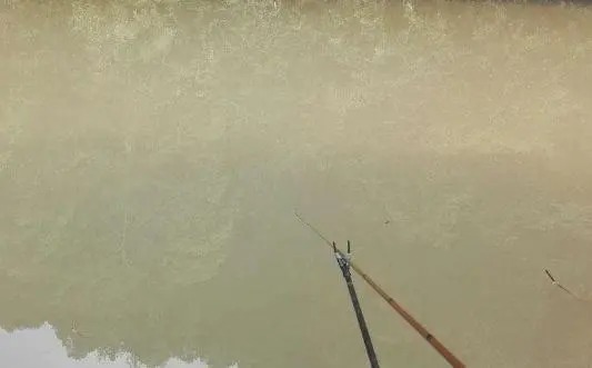 整个水域钓空,老钓手却用“这个方法”,爆护十多斤,一定要学会