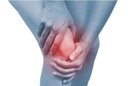 膝关节|膝盖疼？滑膜炎别担心，桑枝配黄酒，不出一周，膝盖不疼积液消失