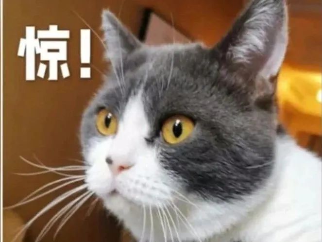 习惯|罕见！女子双肺查出20多个结节！这习惯很多人都有