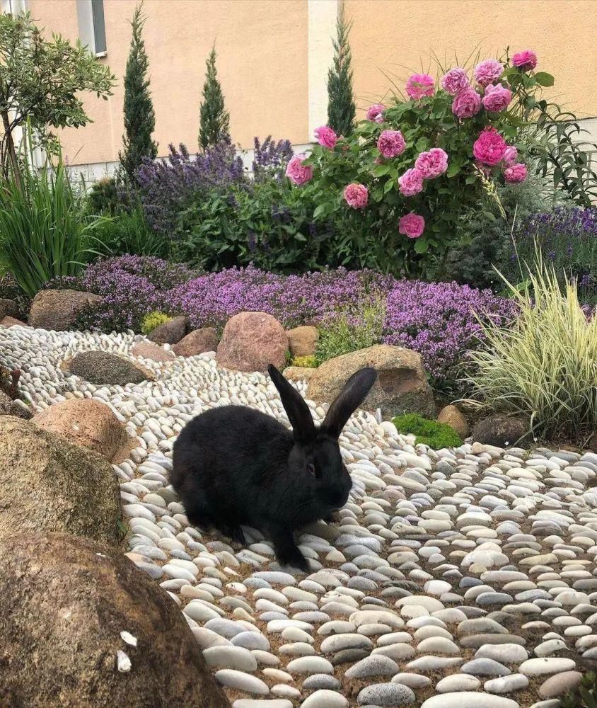 中年|让庭院充满乐趣的小景是这个样子的！！！