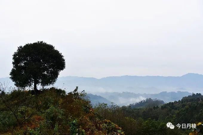 当地村民|顺龙月南山