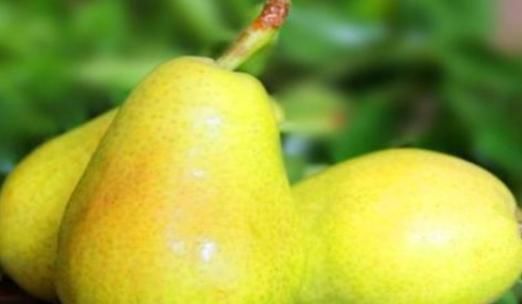 女性不想成黄脸婆,多吃的食物,淡化色斑,美白肌肤,滋阴补阴