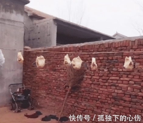 妈妈|奶奶带孩子很少花钱买纸尿布,妈妈回去看到晾着的东西,眼前发黑