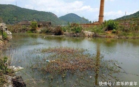 废弃野塘钓罗非鱼,竟上了条“彩虹雷龙”!