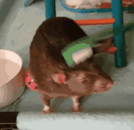 |搞笑段子王:瞬间挺尴尬的,到底要不要吃饭?