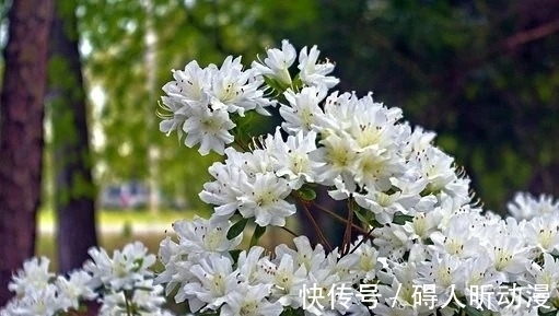 一周后,乘风破浪,一梦三年,繁花入梦,爱意盛涌,恩爱不离