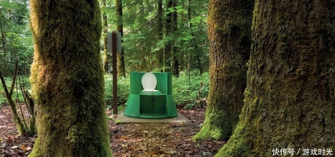 创意|全球最有创意的厕所给你自由