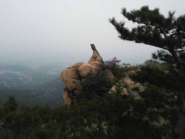 中年|青未了｜莲花盛开茶香远