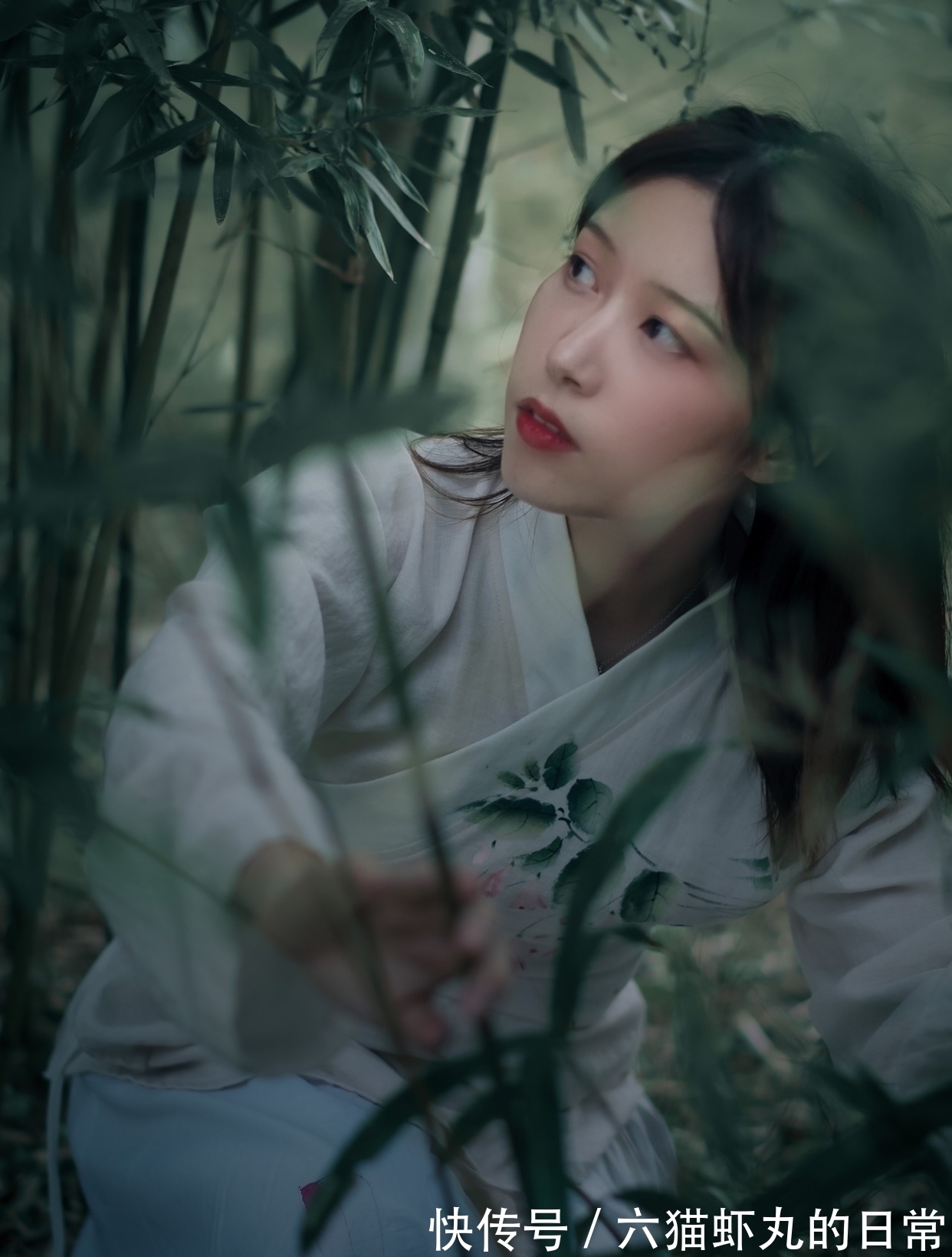 修贤!七绝·十九首丨个中思念寄鱼雁,每问海棠无恙乎?