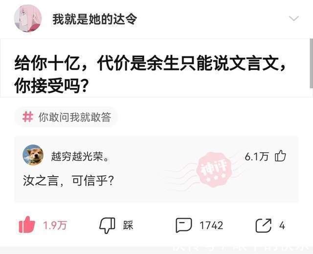 |搞笑合集:村子里有一群神秘人,整日打牌不愁吃喝,哪来的钱