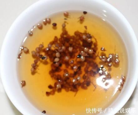 知道饺子馅里放什么最香为什么饺子馆的饺子总是比家里的更香