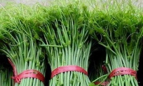 常吃|女性爱美，推荐常吃3种食物，滋润肌肤，抗衰老，增强体质！