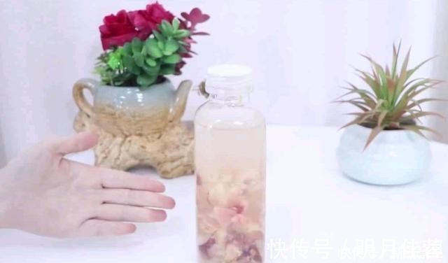 桃仁|烂桃子一个都不能扔，放在家里太值钱了，下次别再扔掉，学学