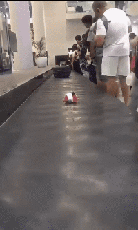 |搞笑GIF:奔三的老阿姨了,还好意思过生日?扎心不,老妹!