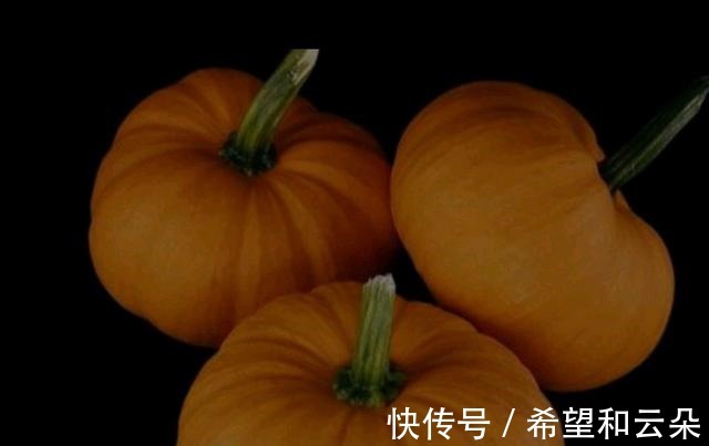 宝妈|贝贝南瓜，板栗南瓜，奶油南瓜，宝宝最喜欢哪种！