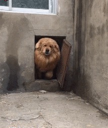 |搞笑GIF:哥们有你这样坐席的吗,你考虑过别人的感受吗