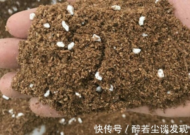 土质|楼下邻居装修,装了点木屑回家养花,给你们说说木屑养花的好处