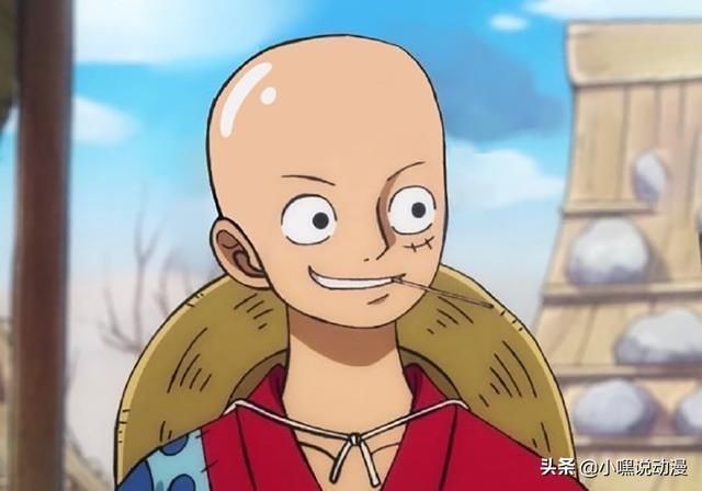草帽团|《海贼王》草帽团被全员剃光头,娜美不再女神,布鲁克毫无违和感