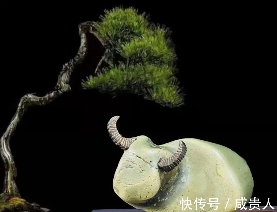 石种$四川的玄武绿泥型石,惊艳世界的美