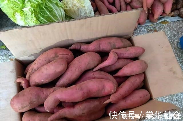 保存红薯有妙招，教你2个小方法，红薯不烂不长芽，越放越香甜！