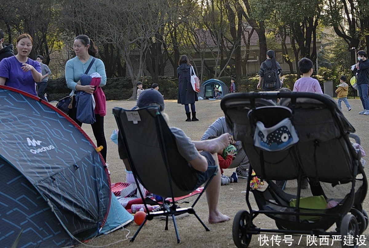 老年|新虹口花园的玉兰花开了【严建设】