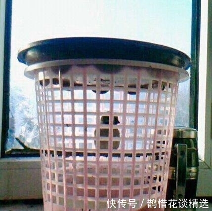 |幽默笑话:过年从部队回家探亲,父亲心疼地对他说……