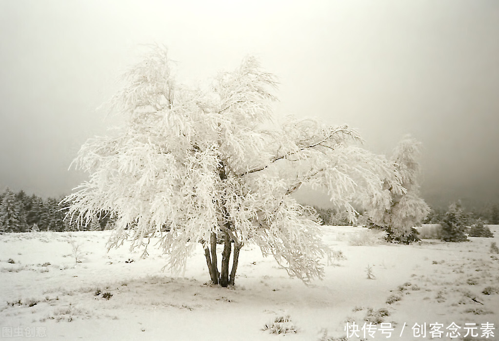  大雪|大雪24节气的21节气，连接下一年的转运点