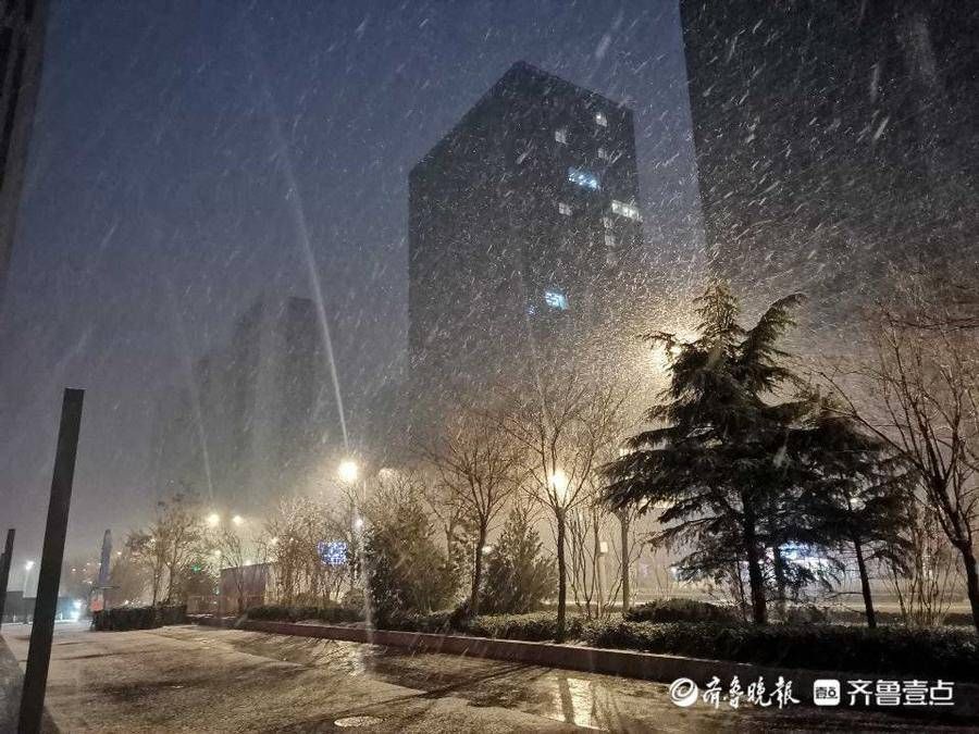 情报员|山东多地雪花到货，情报员用镜头记录清晨雪景，注意添衣保暖哦