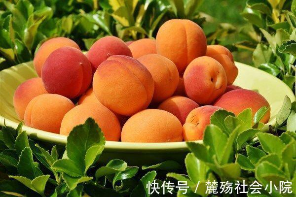 黄桃黄桃|对身体很好的3种食物，可以多吃点，补充营养，提高免疫力！