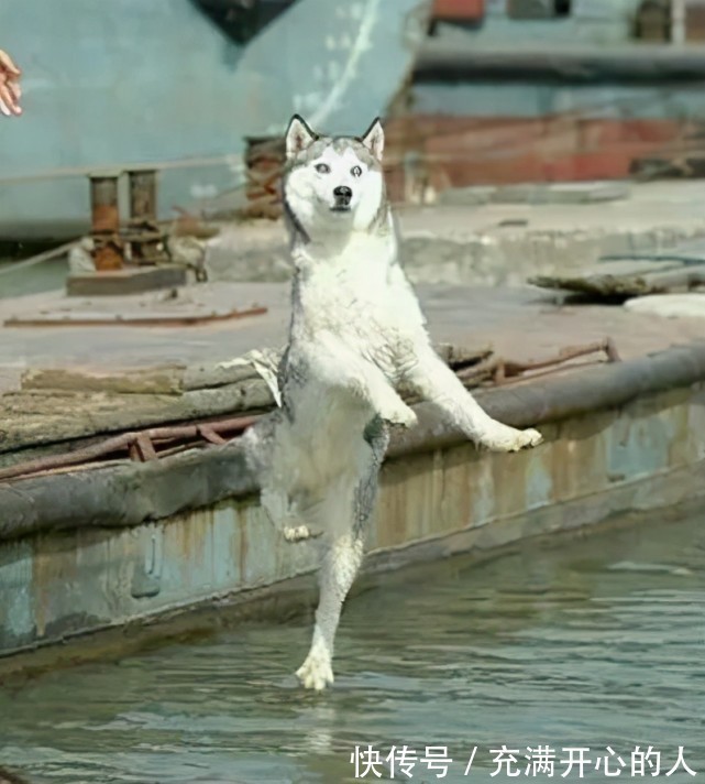 |幽默笑话：闺蜜欠我五百块钱，一直没还，然后和我吵了起来