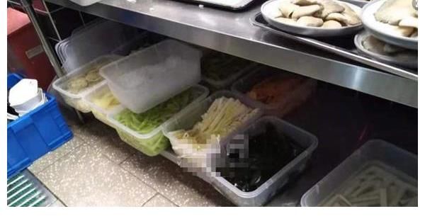 火鍋店|杜海濤經(jīng)營(yíng)火鍋店被責(zé)令停業(yè)，食品衛(wèi)生堪憂，菜品中有蒼蠅