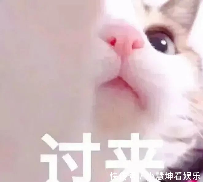 我一个人|情侣头像丨爱僧不爱紫衣僧