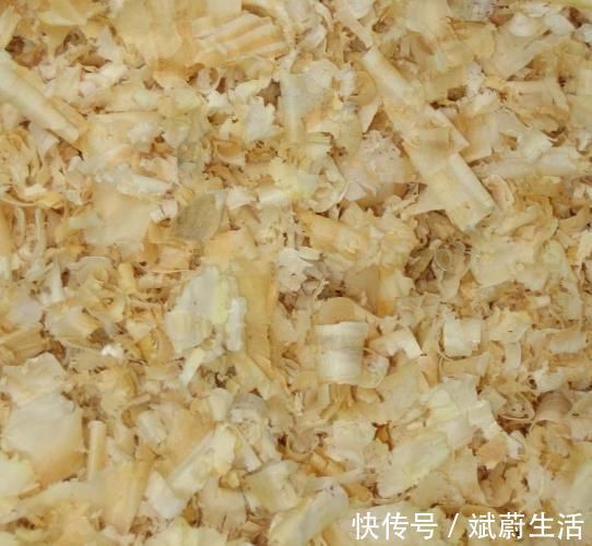 花盆|花盆里放这“4种料，”叶子越长越肥，土壤不板结，花开一朵朵
