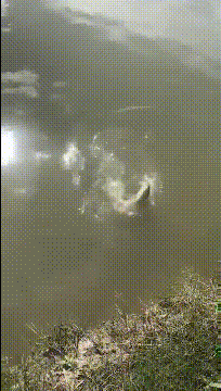 |搞笑gif段子:看见美女就会情不自禁吗