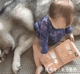 |搞笑GIF:女生宿舍都是这样子吗 跟我想像中的不一样啊