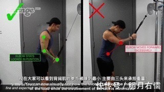 肱三头肌|手臂太细怎么练掌握这3点,“肱三头轰炸”练出麒麟臂