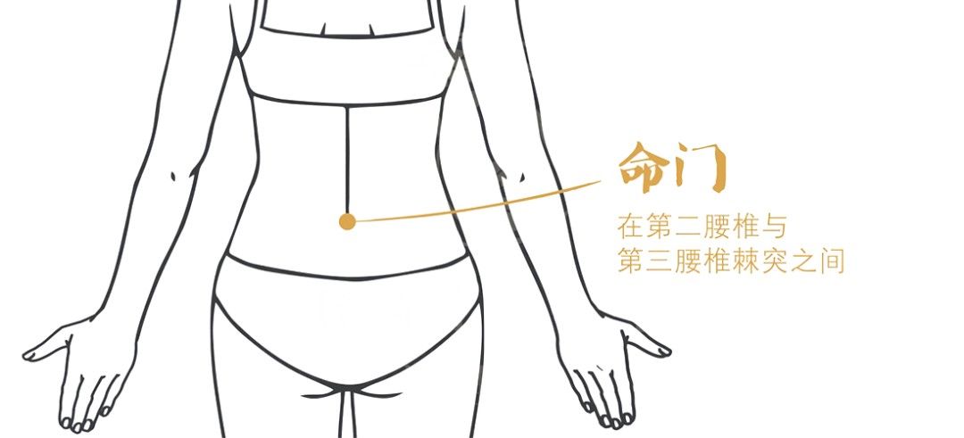 黑豆|冬季进补，补肾最为重要，养肾指南，人手一份！