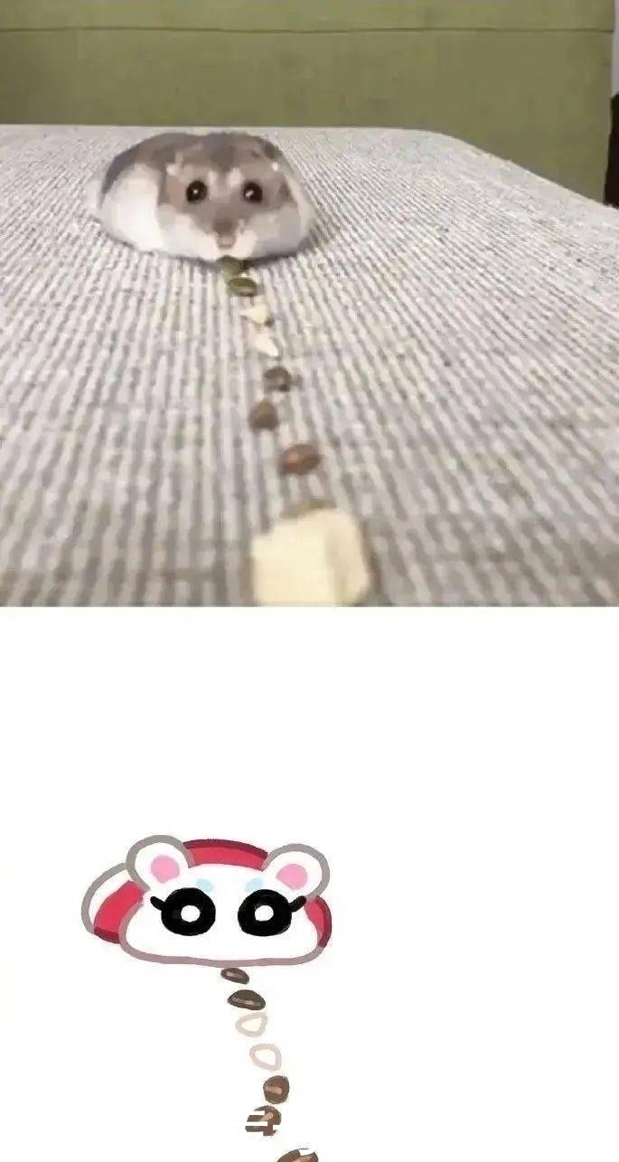 小动物|现实中的小动物漫改成二次元后是什么样?太有故事性了吧!