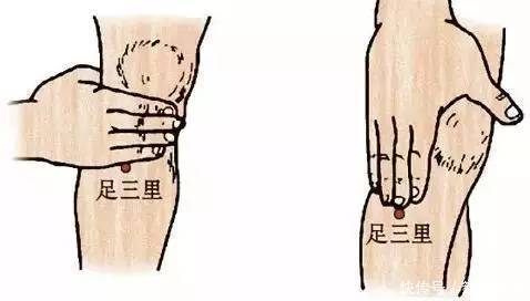 三阴交|各种病都能找到对应的穴位，1穴搞定1病症快快分享给朋友