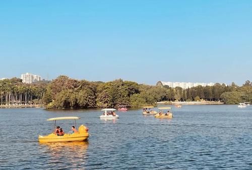 广东的“遛娃”佳地，投资1亿免费开放，风景成画，人却不多