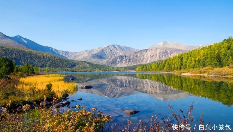 柔软|巨蟹座：披星戴月，不辞万里，哪怕抵抗世俗，也要勇敢地奔向你